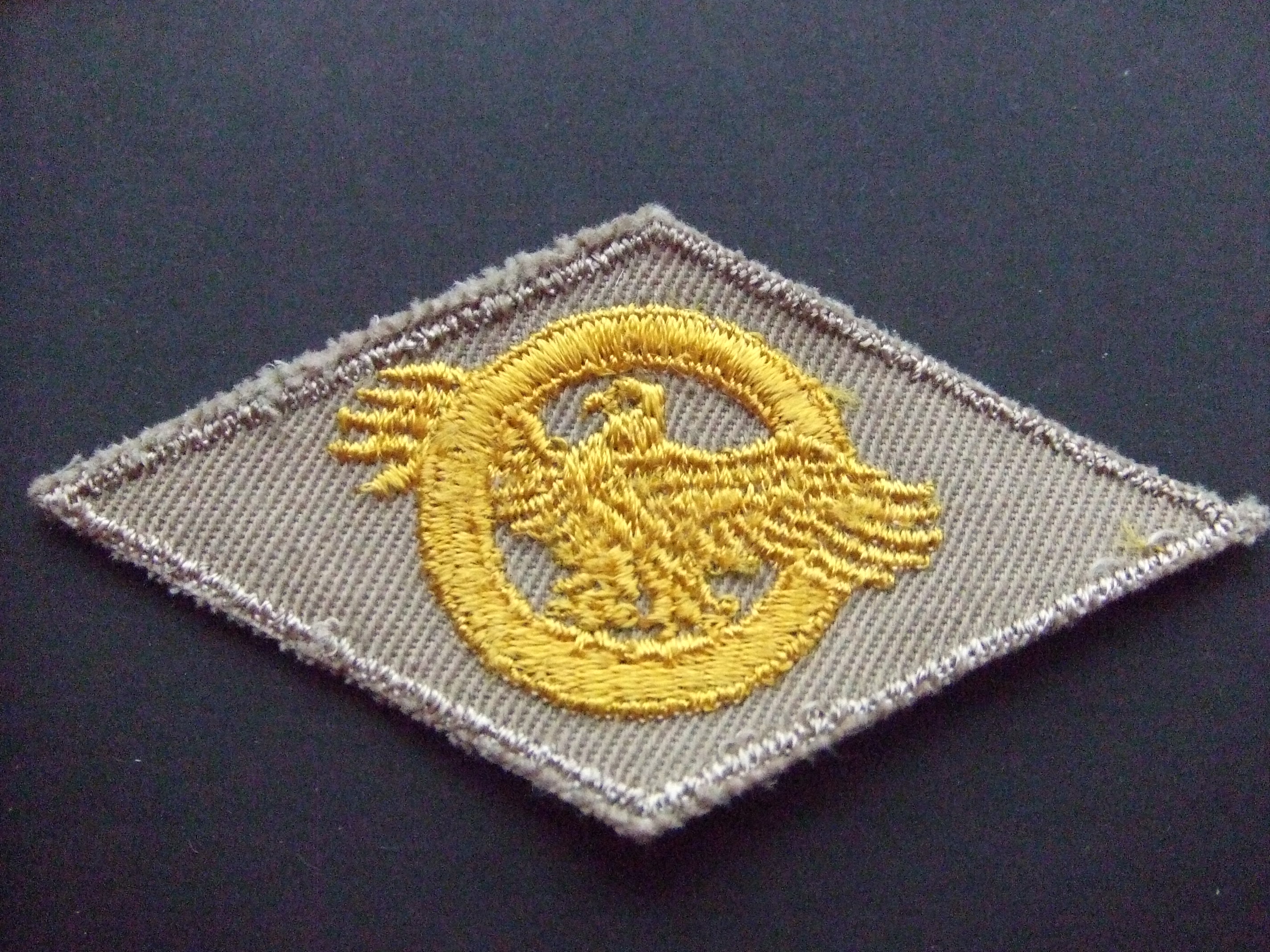 WWII U.S. MILITARY RUPTURED DUCK badge